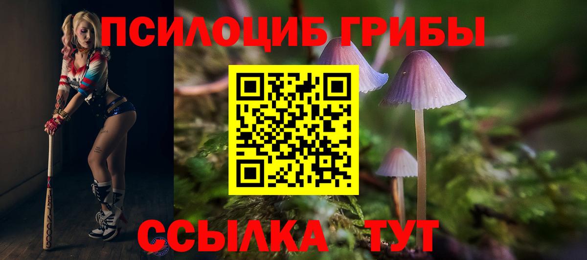 Галлюциногенные грибы MAGIC MUSHROOMS Дивногорск