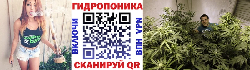 Конопля план  Дивногорск 