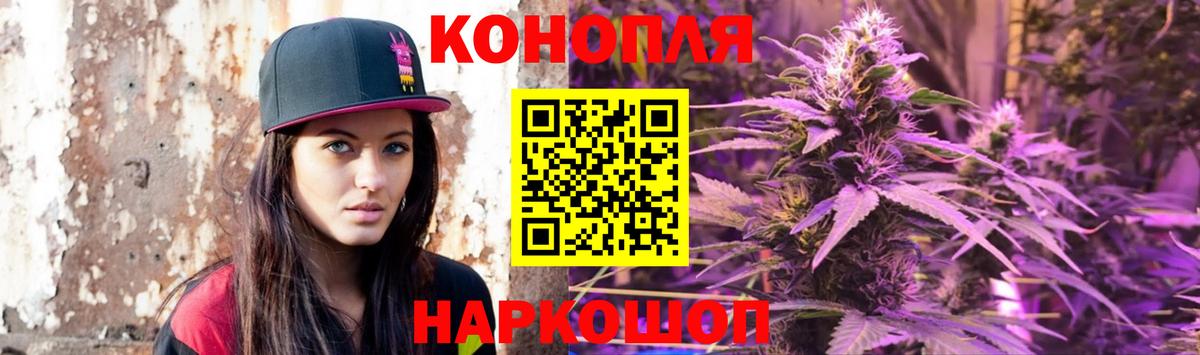 Шишки марихуана гибрид  Дивногорск  Бошки Шишки сатива  Конопля LSD WEED  Канабис план 