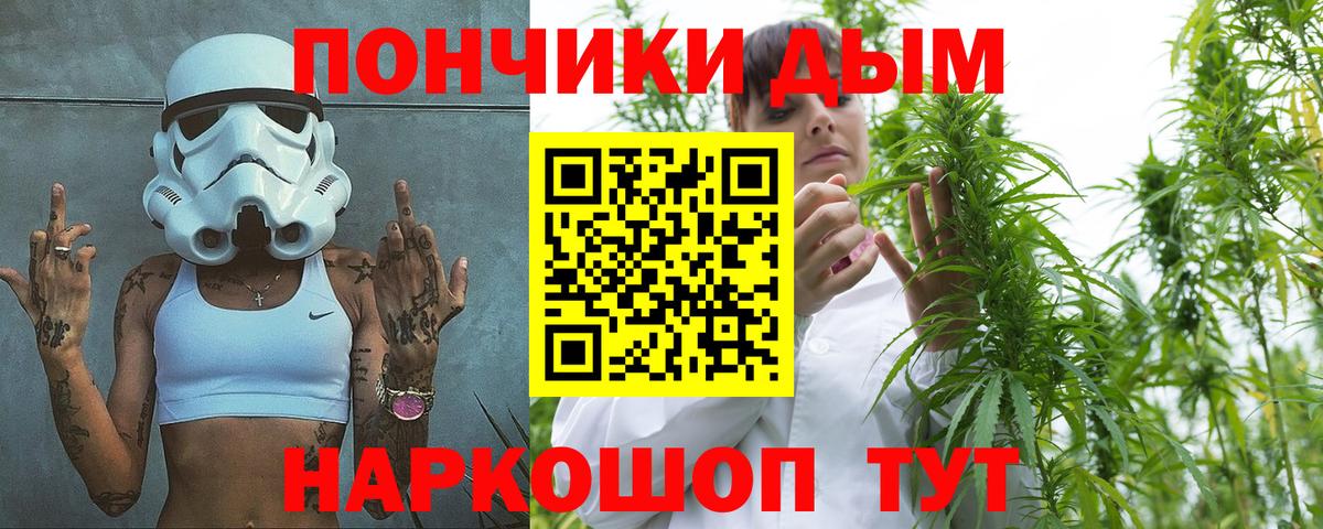 Бошки Шишки марихуана Дивногорск